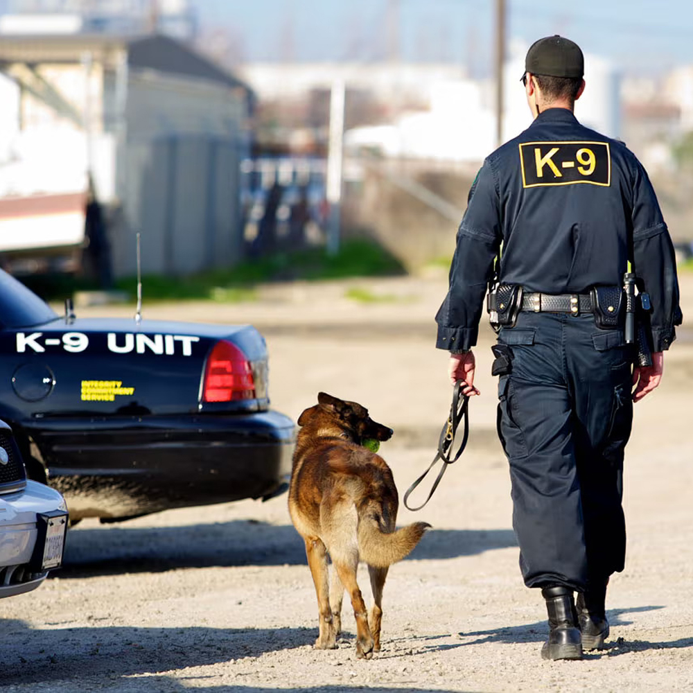 K9 Security Units